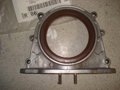 Fresh oil seal for rear