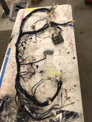 240harness.jpeg